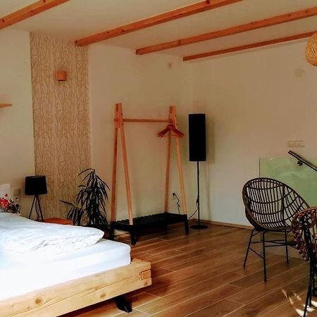 Apartmany Cechovni Moravská Třebová 部屋 写真
