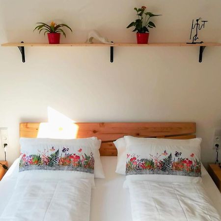 Apartmany Cechovni Moravská Třebová 部屋 写真