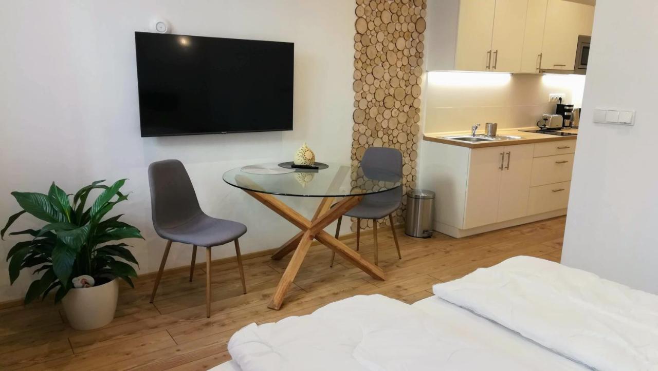 Apartmany Cechovni Moravská Třebová 部屋 写真