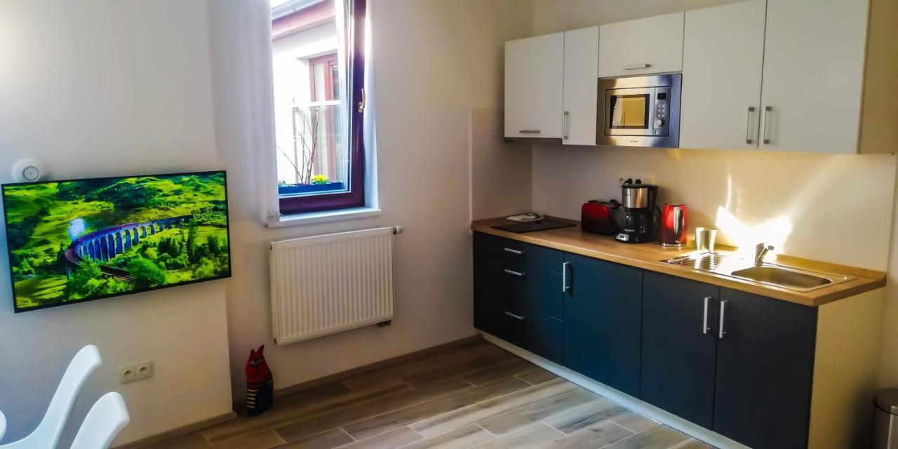 Apartmany Cechovni Moravská Třebová 部屋 写真