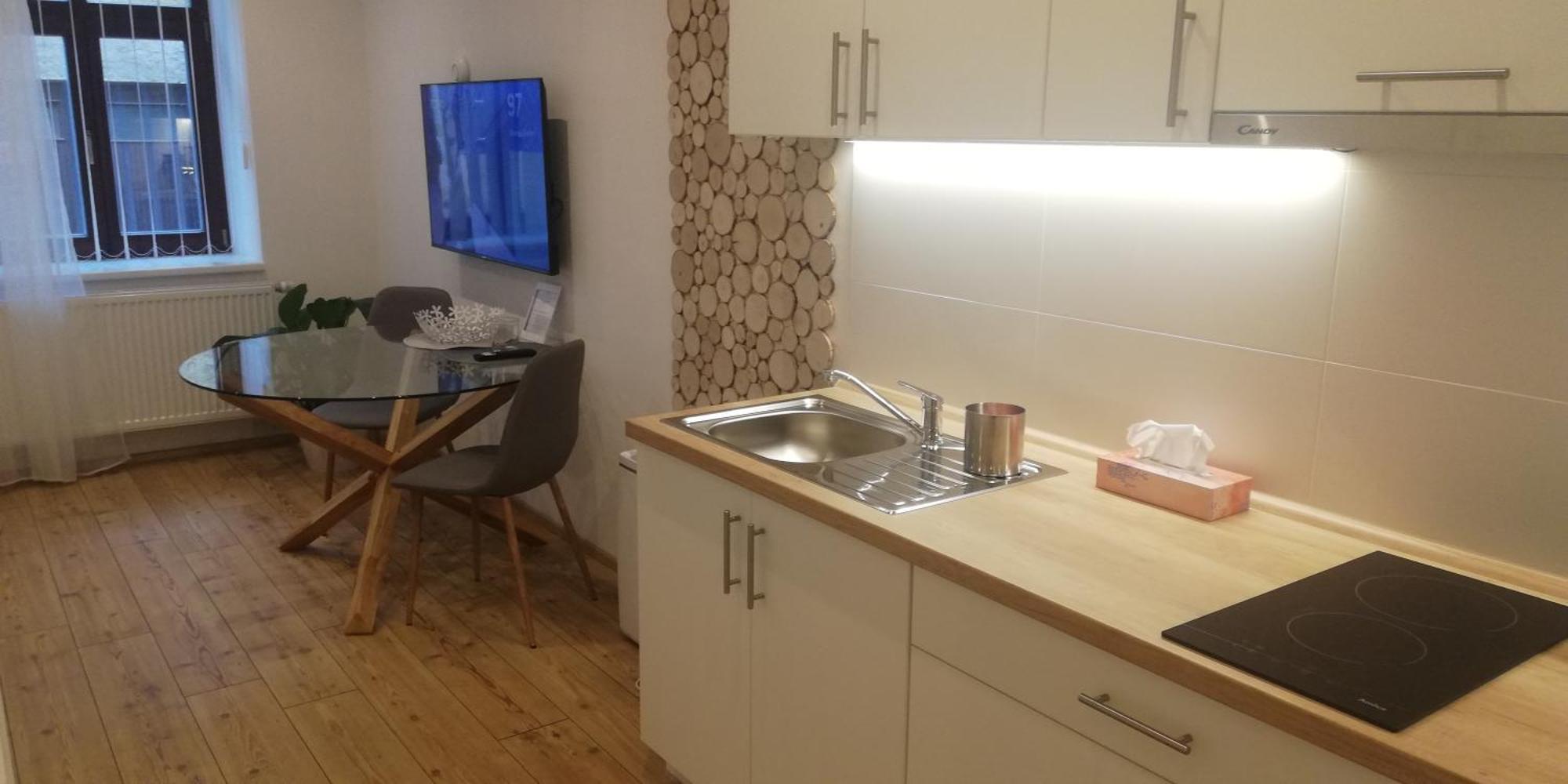 Apartmany Cechovni Moravská Třebová 部屋 写真